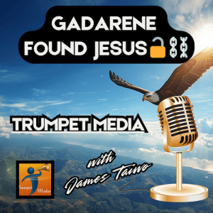 gadarene found jesus