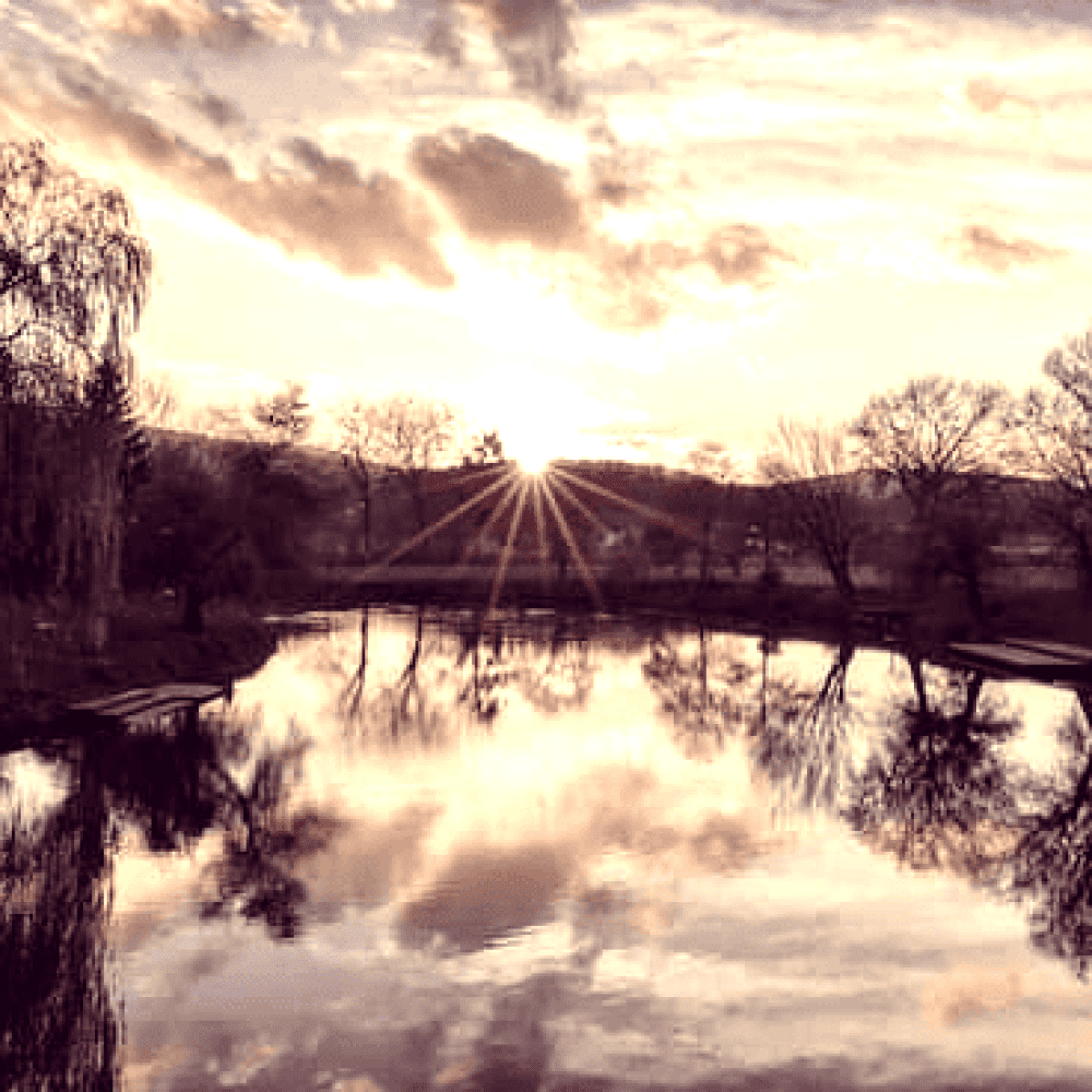 new dawn
