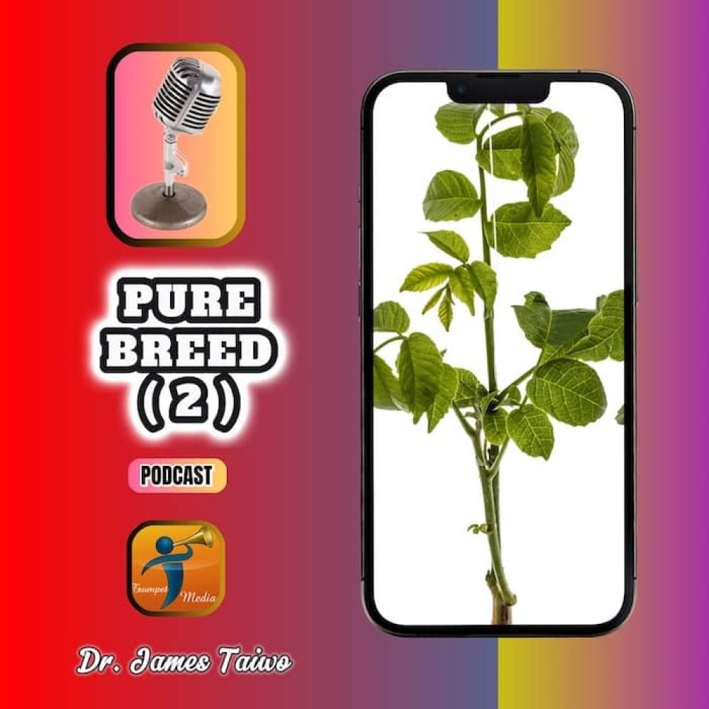 true breed2