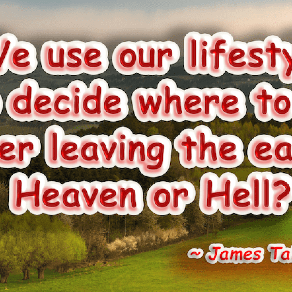 make your choice